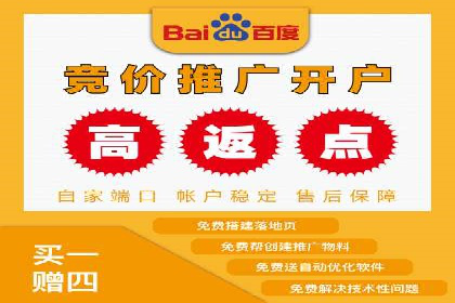 行业领先企业的SEM广告策略与效果分析